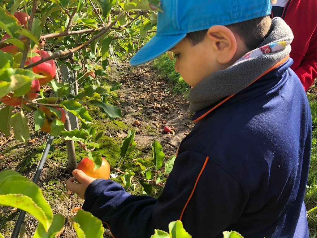 Niño sosteniendo una manzana