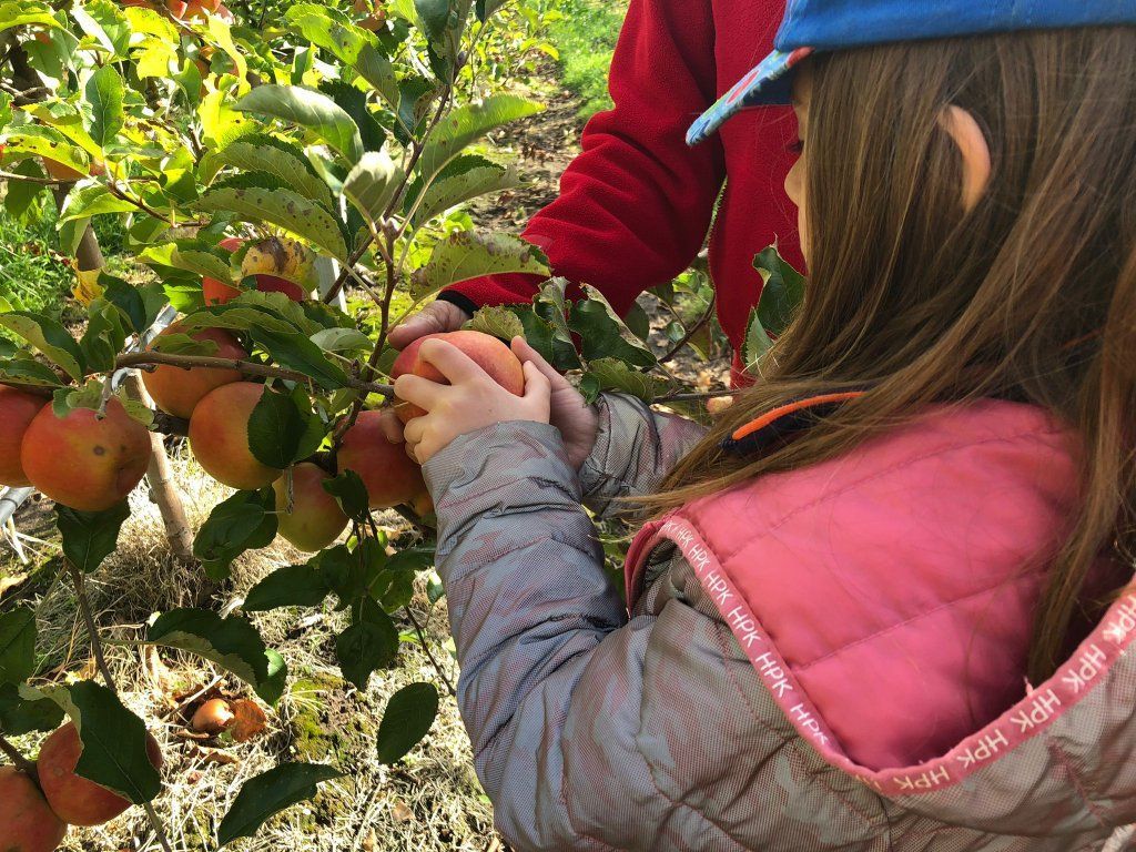 Niña sosteniendo una manzana