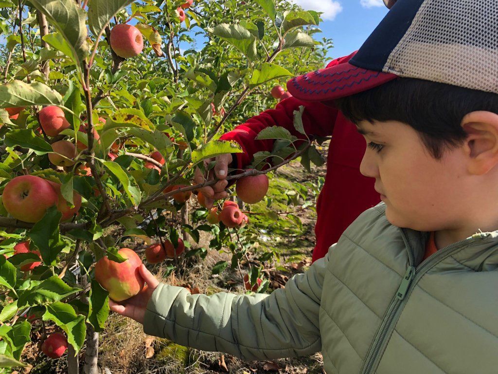 Niño sosteniendo una manzana