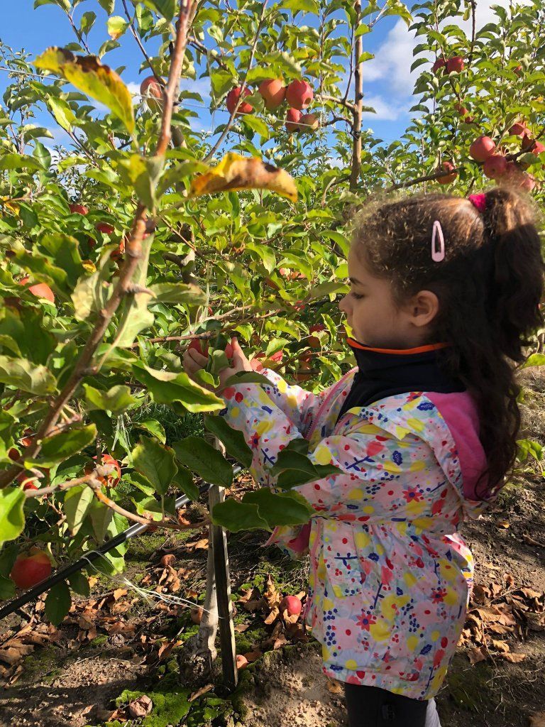 Niña sosteniendo una manzana