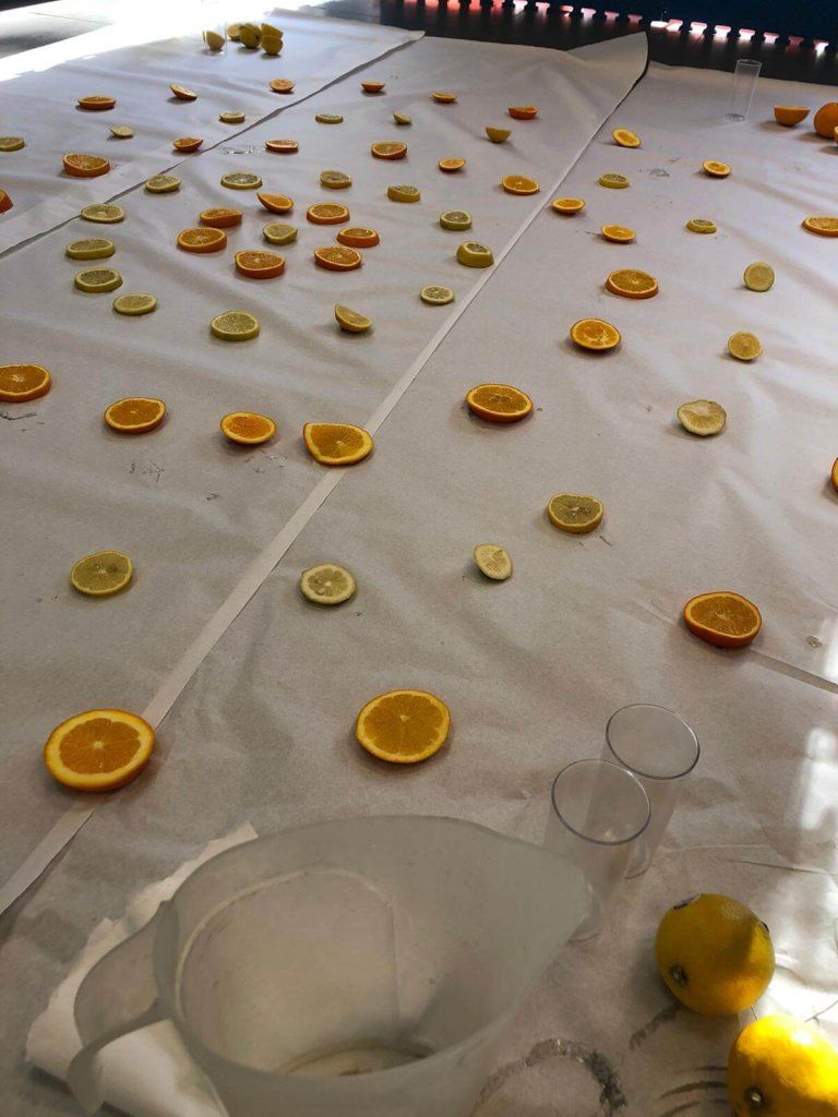 Naranjas y limones