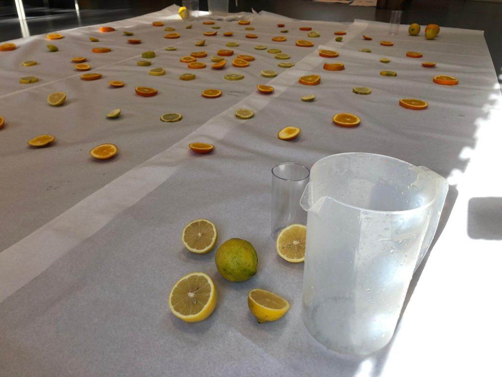 Naranjas y limones