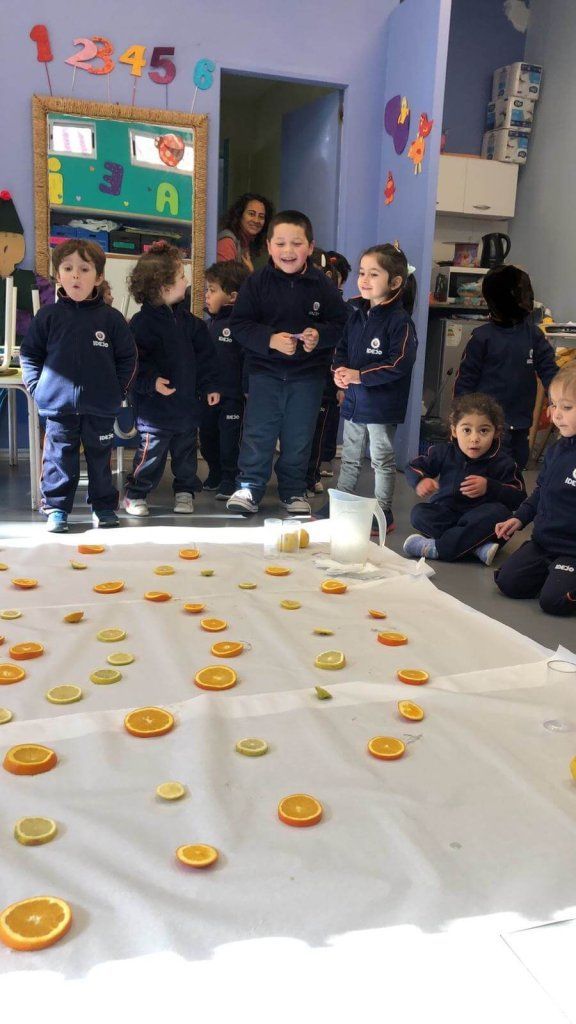 Niños y niñas de inicial con naranjas y limones